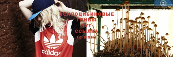 a pvp Магас