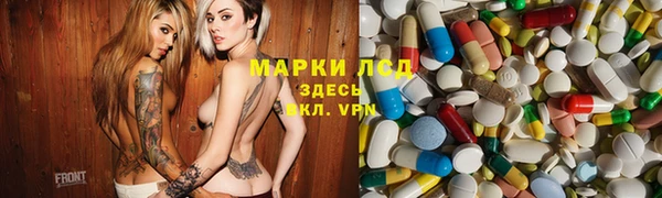 a pvp Магас